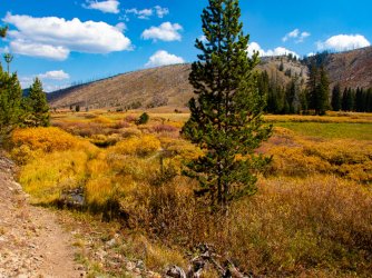 YNP_Day-2_Outlet_L_trail_lower_valley&Chicken_Ridge-1.jpg YNP_Day-2_Outlet_L_trail_lower_valley&Chicken_Ridge-1.jpg