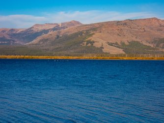 YNP_Day-3_6A3_camp_pelicans.jpg YNP_Day-3_6A3_camp_pelicans.jpg