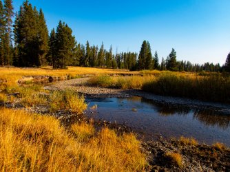 YNP_Day-3_Grouse_Cr_to_E.jpg YNP_Day-3_Grouse_Cr_to_E.jpg
