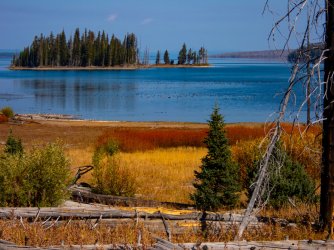 YNP_Day-3_S_Arm&Peale_Island_Yell_L-1.jpg YNP_Day-3_S_Arm&Peale_Island_Yell_L-1.jpg
