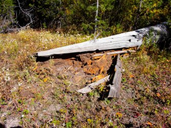 YNP_Day-4_Chipmunk_Cr_bear_log-1.jpg YNP_Day-4_Chipmunk_Cr_bear_log-1.jpg