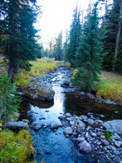 YNP_Day-4_Passage_Cr.jpg YNP_Day-4_Passage_Cr.jpg