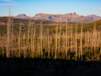 YNP_Day-4_Passage_Cr_view_E-3.jpg YNP_Day-4_Passage_Cr_view_E-3.jpg