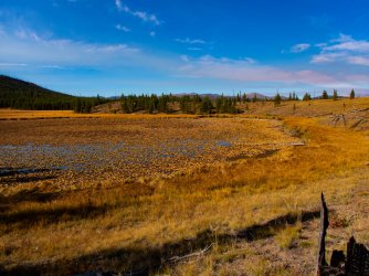YNP_Day-4_Trail_Cr_trail_wetland.jpg YNP_Day-4_Trail_Cr_trail_wetland.jpg