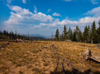 YNP_Day-5_Passage_Cr_Pass_view_N.jpg YNP_Day-5_Passage_Cr_Pass_view_N.jpg