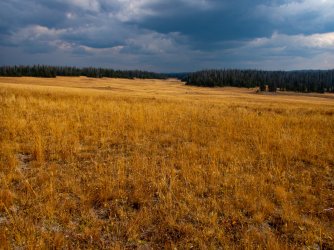YNP_Day-5_Plateau_Cr_meadow.jpg YNP_Day-5_Plateau_Cr_meadow.jpg