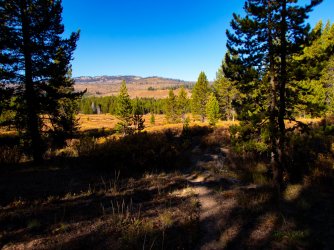 YNP_Day-6_down_trail.jpg YNP_Day-6_down_trail.jpg