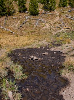 YNP_Day-6_Snake_R_elk_wallow.jpg YNP_Day-6_Snake_R_elk_wallow.jpg