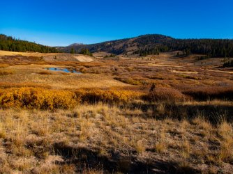 YNP_Day-6_Snake_R_scene.jpg YNP_Day-6_Snake_R_scene.jpg