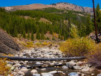YNP_Day-6_Snake_R_Sickle_creek-2.jpg YNP_Day-6_Snake_R_Sickle_creek-2.jpg