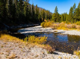 YNP_Day-6_Snake_R-1.jpg YNP_Day-6_Snake_R-1.jpg
