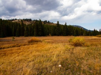 YNP_Day-7_Basin_Cr_Lake_camp_area.jpg YNP_Day-7_Basin_Cr_Lake_camp_area.jpg