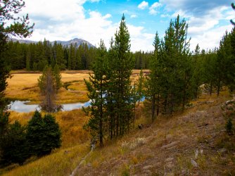 YNP_Day-7_Basin_CR_trail_off-Trail_meadow.jpg YNP_Day-7_Basin_CR_trail_off-Trail_meadow.jpg