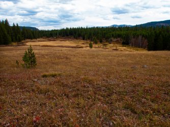 YNP_Day-7_Basin_CR_trail_off-Trail_meadow-3.jpg YNP_Day-7_Basin_CR_trail_off-Trail_meadow-3.jpg