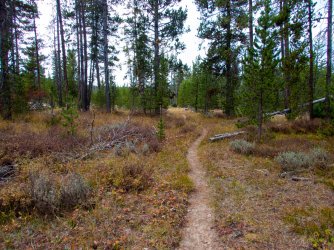 YNP_Day-7_Snake_R_Basin_Creek_trail.jpg YNP_Day-7_Snake_R_Basin_Creek_trail.jpg