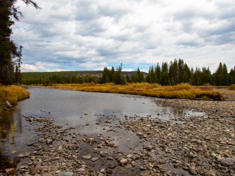 YNP_Day-7_Snake_R_crossing.jpg YNP_Day-7_Snake_R_crossing.jpg