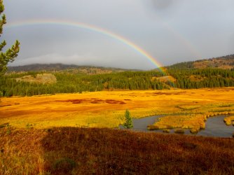 YNP_Day-8_Basin_Cr_trail_meadow_rainbow-9.jpg YNP_Day-8_Basin_Cr_trail_meadow_rainbow-9.jpg