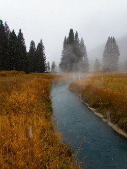 YNP_Day-8_Snake_R_hot_springs&snowfall-2.jpg YNP_Day-8_Snake_R_hot_springs&snowfall-2.jpg