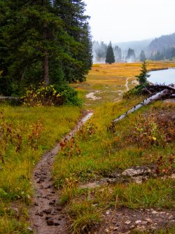 YNP_Day-8_Snake_R_trail_wet-1.jpg YNP_Day-8_Snake_R_trail_wet-1.jpg