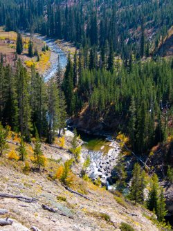 YNP_Day-6_Snake_R_rapids-1.jpg YNP_Day-6_Snake_R_rapids-1.jpg