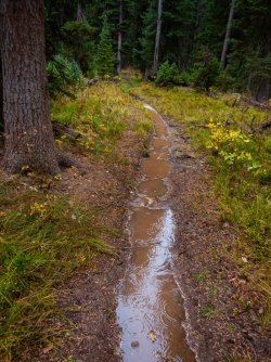 YNP_Day-8_Snake_R_trail_wet-1-2.jpg YNP_Day-8_Snake_R_trail_wet-1-2.jpg