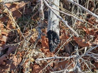 2022-02-06 12.16.43.jpg 2022-02-06 12.16.43.jpg