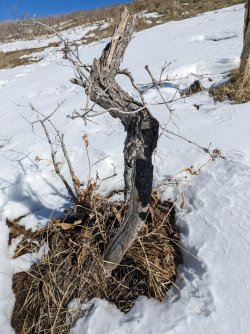 2022-02-06 12.21.35.jpg 2022-02-06 12.21.35.jpg