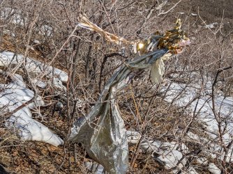 2022-02-06 12.04.42.jpg 2022-02-06 12.04.42.jpg