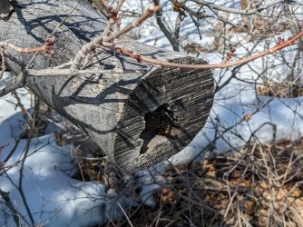 2022-02-06 12.34.31.jpg 2022-02-06 12.34.31.jpg