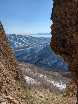 2022-02-06 15.26.50.jpg 2022-02-06 15.26.50.jpg