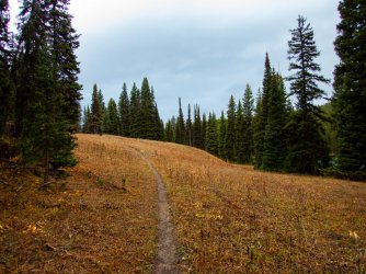 YNP_Day-8_Basin_Cr_Lake_trail.jpg YNP_Day-8_Basin_Cr_Lake_trail.jpg
