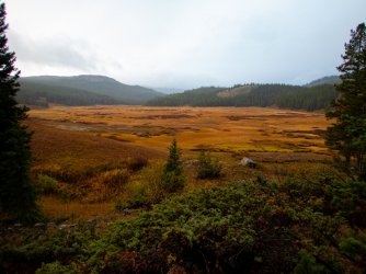 YNP_Day-8_Basin_Cr_trail_meadow.jpg YNP_Day-8_Basin_Cr_trail_meadow.jpg