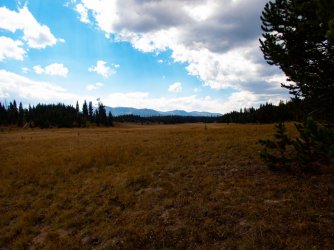 YNP_Day-1_Solution_Cr_meadow.jpg YNP_Day-1_Solution_Cr_meadow.jpg