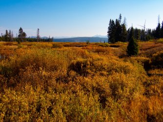YNP_Day-3_Grouse_Cr_to_S_Arm.jpg YNP_Day-3_Grouse_Cr_to_S_Arm.jpg