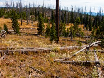 YNP_Day-5_Plateau_Cr_off_trail-2-2.jpg YNP_Day-5_Plateau_Cr_off_trail-2-2.jpg