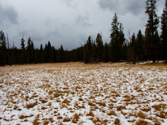 YNP_Day-1_Arnica_Cr_area_meadow.jpg YNP_Day-1_Arnica_Cr_area_meadow.jpg