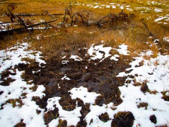 YNP_Day-1_Arnica_Cr_area_elk_wallow.jpg YNP_Day-1_Arnica_Cr_area_elk_wallow.jpg