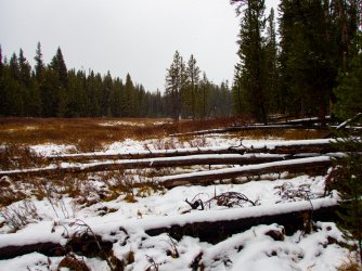 YNP_Day-1_Arnica_Cr_area_meadow&snowfall.jpg YNP_Day-1_Arnica_Cr_area_meadow&snowfall.jpg