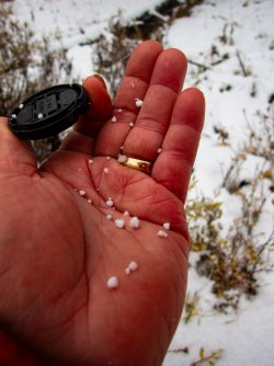 YNP_Day-1_Arnica_Cr_area_graupel.jpg YNP_Day-1_Arnica_Cr_area_graupel.jpg
