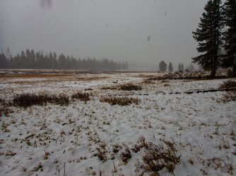 YNP_Day-1_Arnica_Cr_meadows-1.jpg YNP_Day-1_Arnica_Cr_meadows-1.jpg