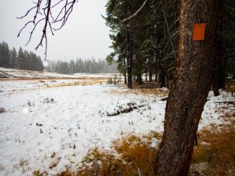 YNP_Day-1_Arnica_Cr_trail_marker-1.jpg YNP_Day-1_Arnica_Cr_trail_marker-1.jpg