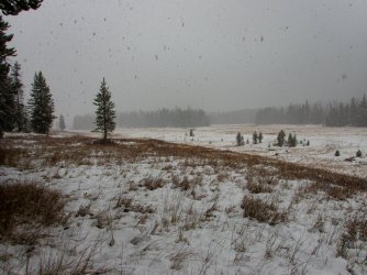 YNP_Day-1_Arnica_Cr_down_valley-2.jpg YNP_Day-1_Arnica_Cr_down_valley-2.jpg