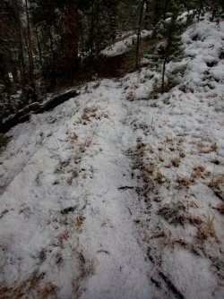 YNP_Day-1_Arnica_Cr_trail-1.jpg YNP_Day-1_Arnica_Cr_trail-1.jpg