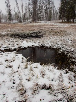 YNP_Day-1_Arnica_Cr_elk_wallow.jpg YNP_Day-1_Arnica_Cr_elk_wallow.jpg