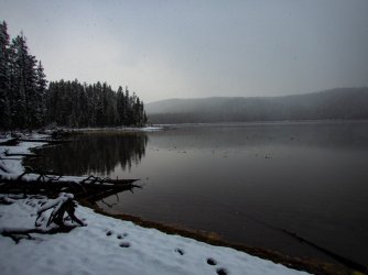 YNP_Day-1_Arnica_Cr_Beach_L.jpg YNP_Day-1_Arnica_Cr_Beach_L.jpg