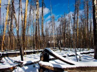 YNP_Day-2_burn_route.jpg YNP_Day-2_burn_route.jpg