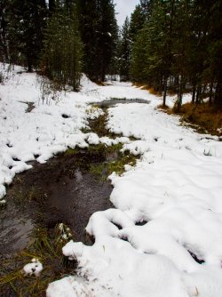 YNP_Day-2_upper_Alum_Cr-1.jpg YNP_Day-2_upper_Alum_Cr-1.jpg