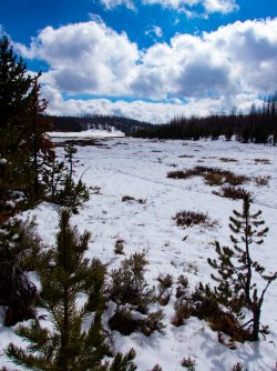 YNP_Day-2_upper_Alum_Cr_up_valley-1.jpg YNP_Day-2_upper_Alum_Cr_up_valley-1.jpg
