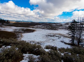 YNP_Day-2_upper_Alum_Cr_Hayden_Valley.jpg YNP_Day-2_upper_Alum_Cr_Hayden_Valley.jpg