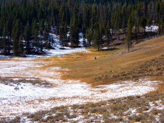 YNP_Day-2_upper_Alum_Cr_Hayden_Valley_lone_bison.jpg YNP_Day-2_upper_Alum_Cr_Hayden_Valley_lone_bison.jpg